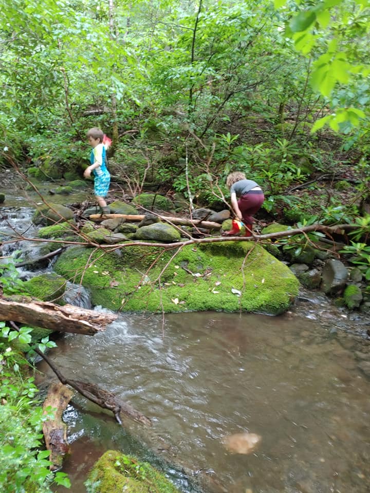 Hiking in the Great Smokey Mountains