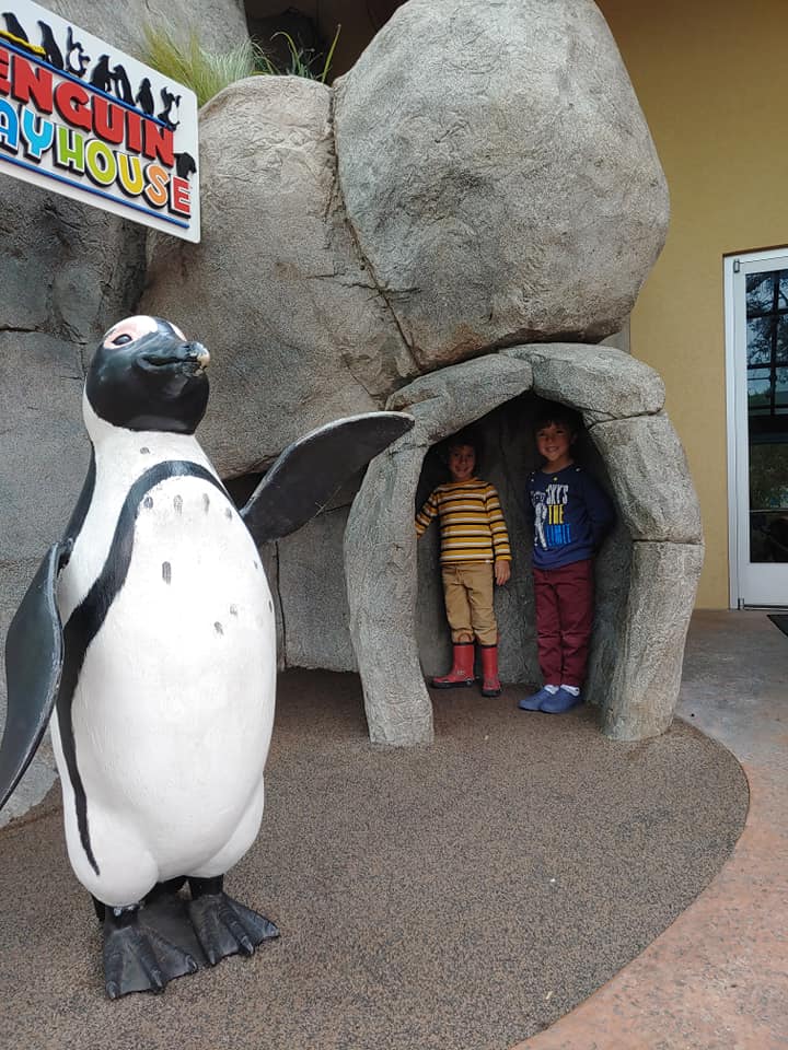 Ripley's aquarium