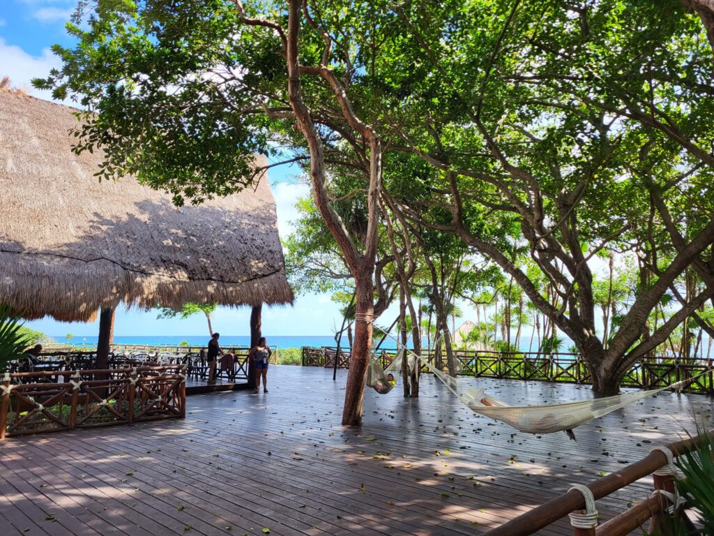 picture of hanging hammocks, trees and a restaurant