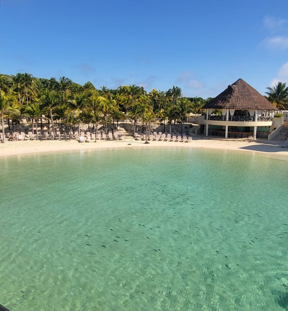 picture of turquoise water, with a beach and tropical fauna