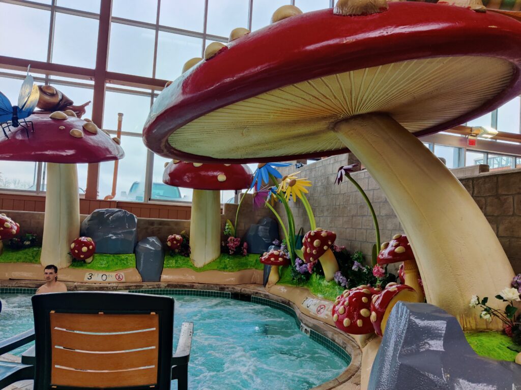 PICTURE OF an indoor water park