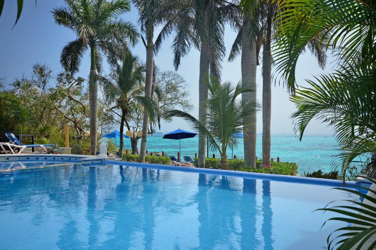 pool and palm tree with ocean view