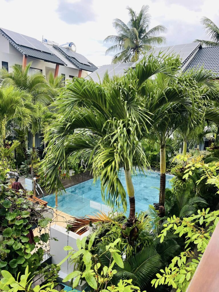 picture of a pool surrounded by lush vegetation