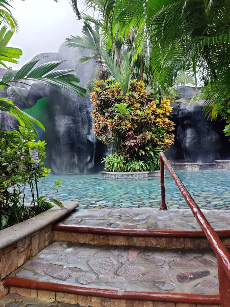picture of a pool and tropical flora