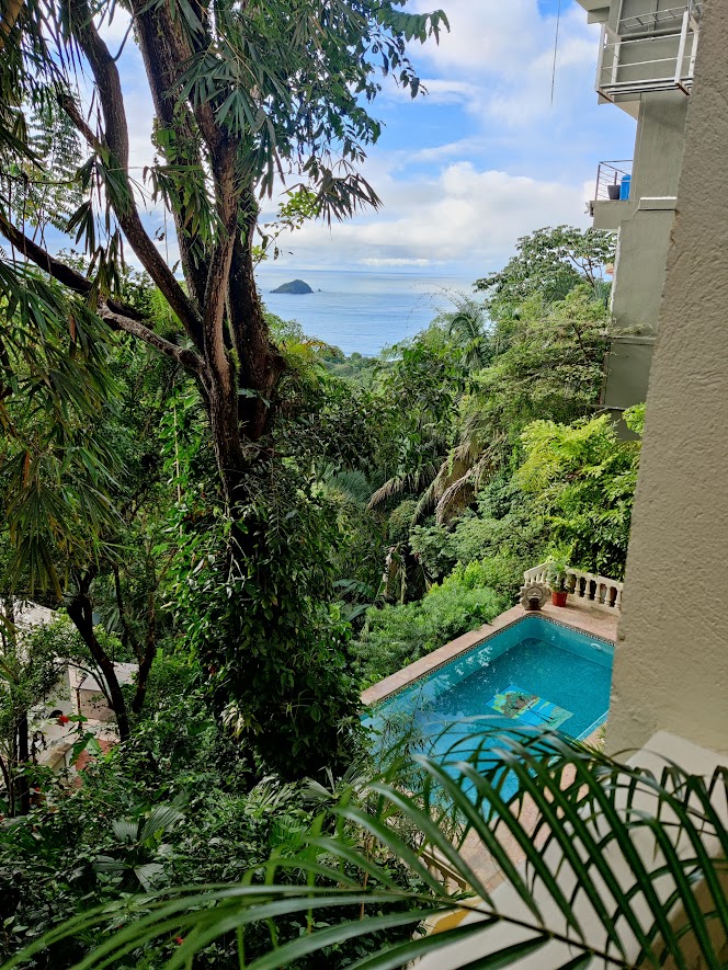 picture of a pool, jungle and the ocean in the distance