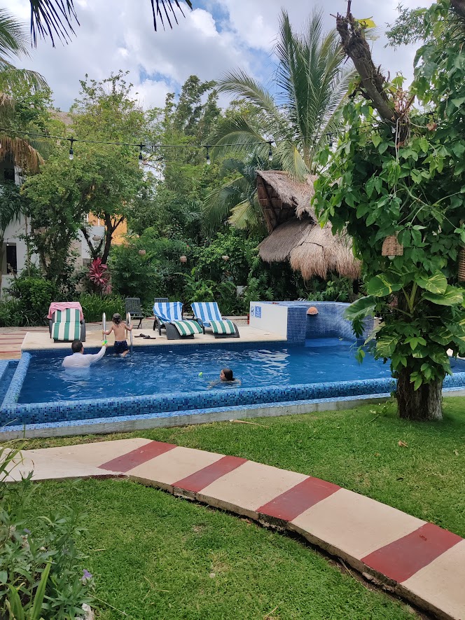 picture of children swimming in a pool