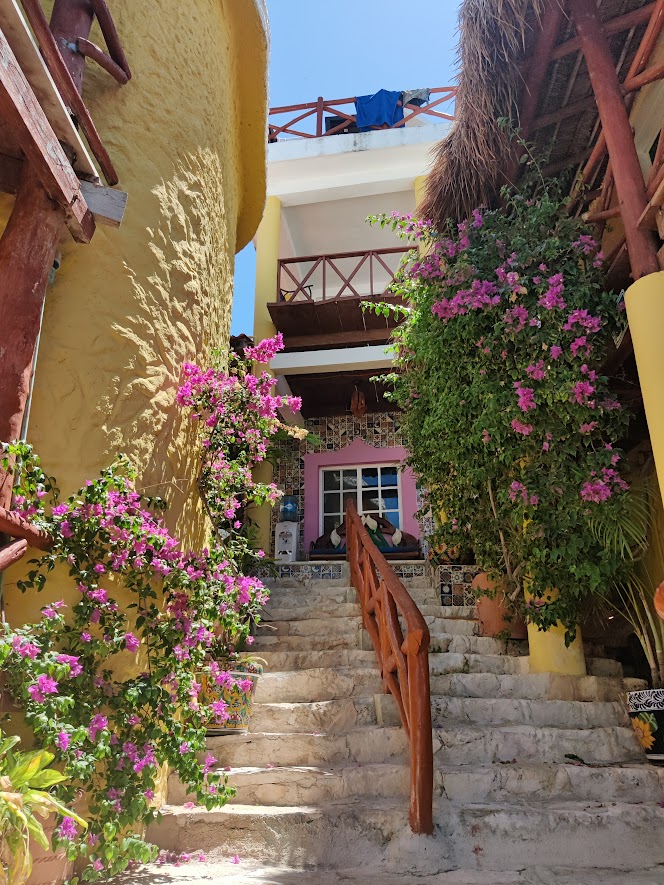 picture of tropical flowers around stairs going up