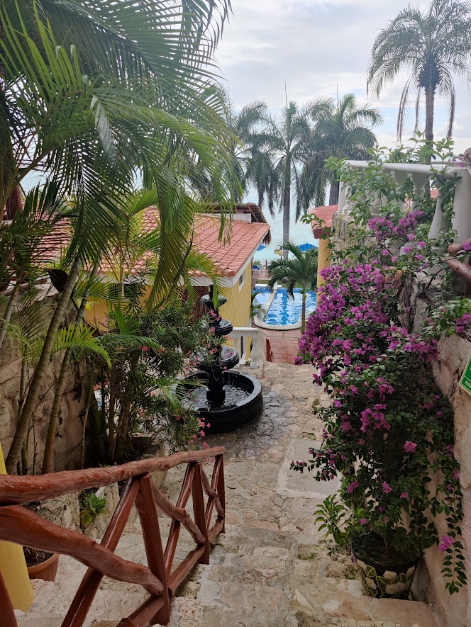 Picture of stairs going down, with a wood railing, tropical flowers, palm trees and a pool in the distance