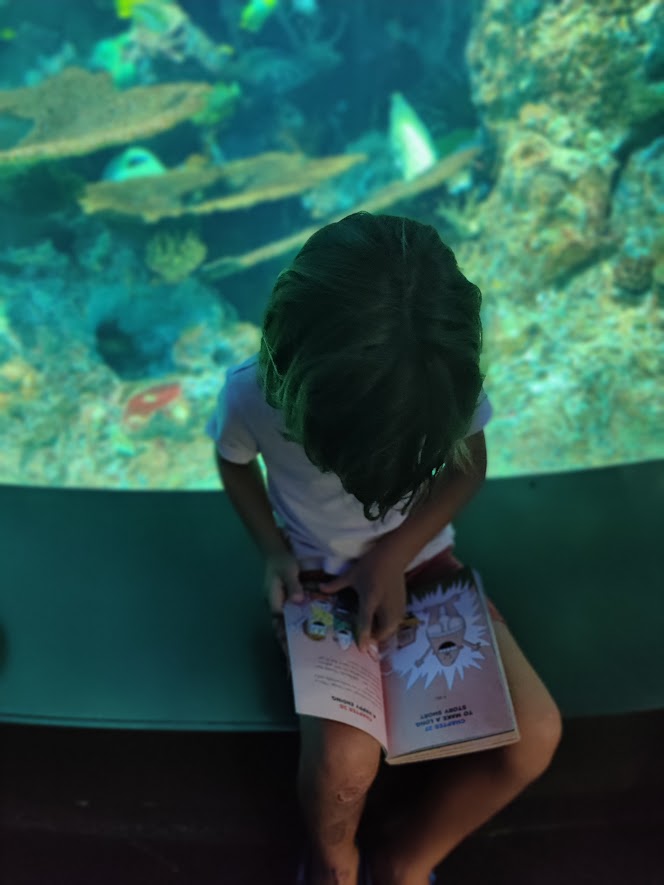 picture of a child reading a book in an aquarium