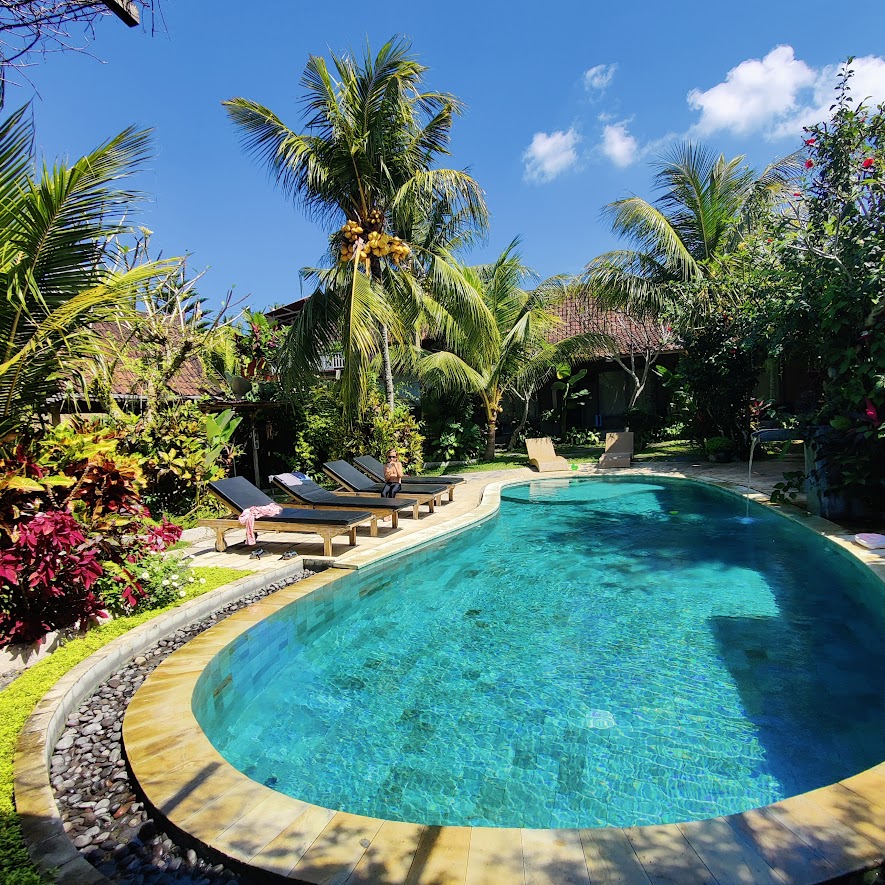 picture of a pool surrounded by lush vegetation