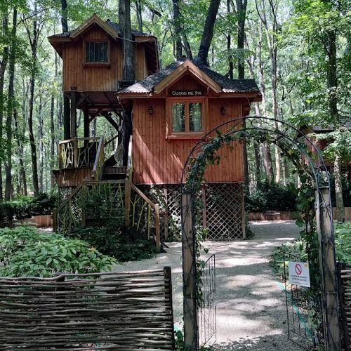 picture of a tree house